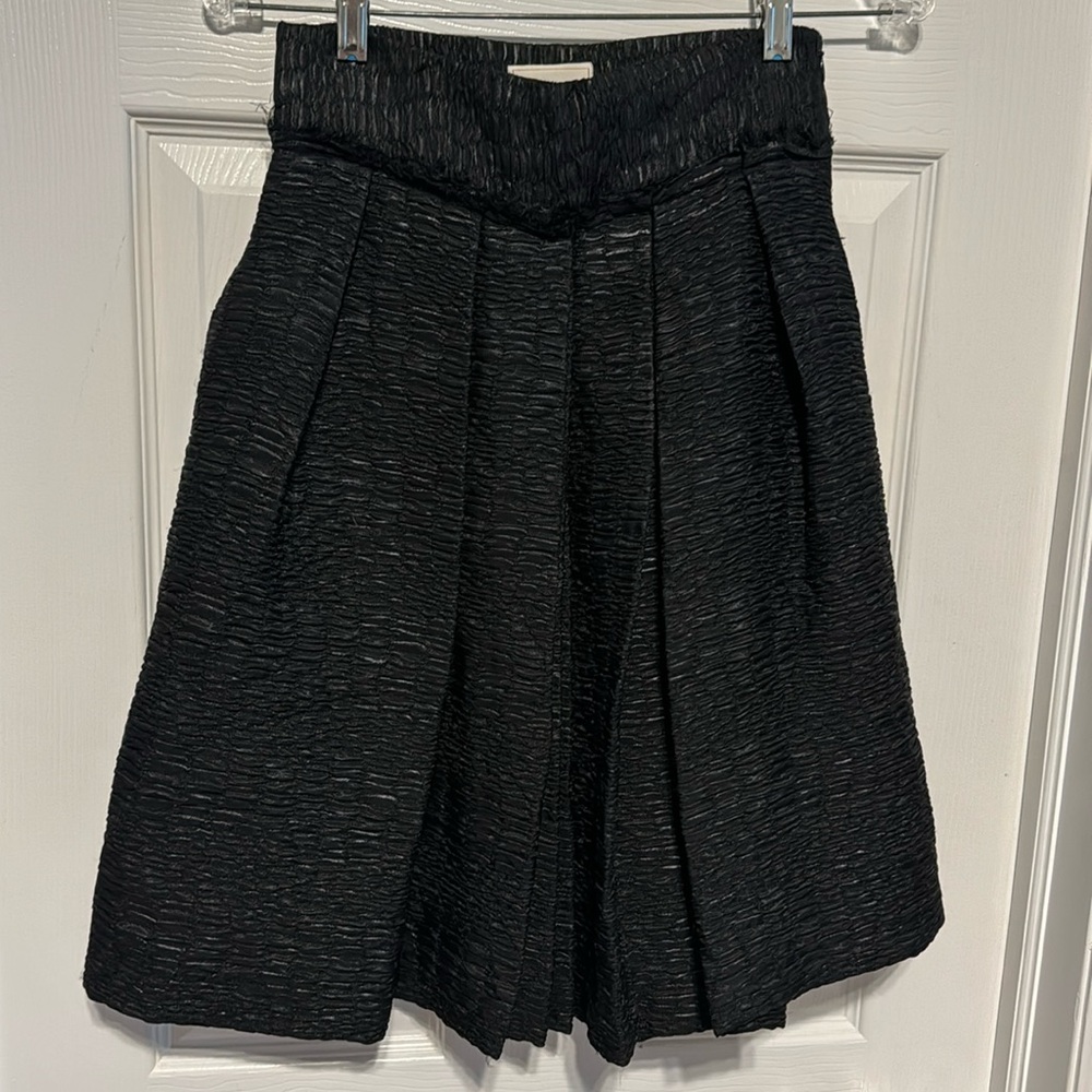 Abaete A line Pleated Skirt